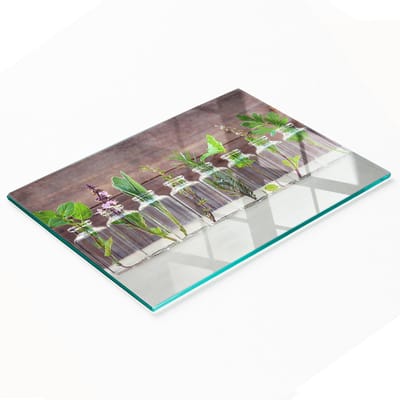 Duurzaam en stijlvol glazen bord met een plantenpatroon, 80x52 cm