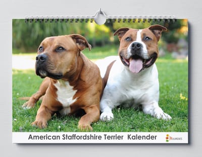Huurdies - Verjaardagskalender - American Staffordshireterriër - A3