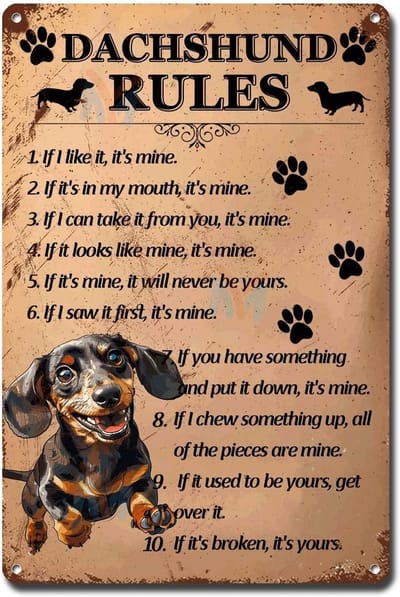 Vintage Metalen Wandbord met Teckel Regels - Decoratieve Blikken Plaat voor Huis of Tuin
