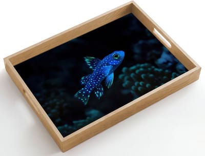 Dienblad hout 50x35 cm - Schootdienblad - Vis - Stippen - Koraal - Blauw - Borrelplank rechthoek - Plateau dienbladen