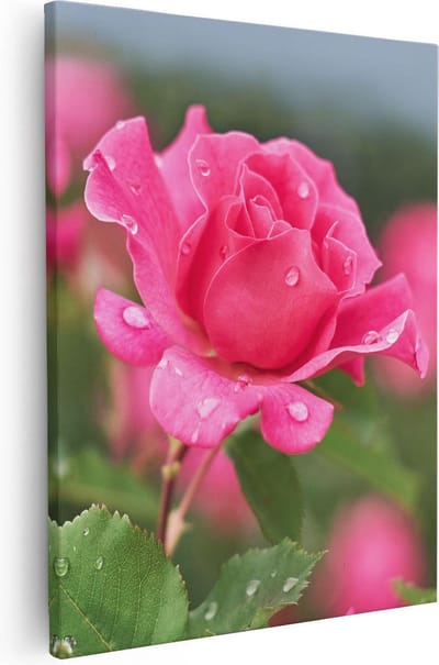 Artaza Canvas Schilderij Bloemen - 40x50 cm - Wanddecoratie Woonkamer - Muurdecoratie Roos - Kamer Accessoires