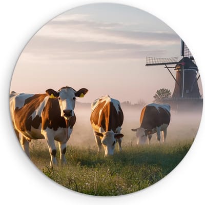 Saammp Muurcirkel Hout - Groep koeien in de mist - Natuur - Dieren - Ø 90 - Wandcirkel - Wanddecoratie Cirkel - Muurdecoratie Woonkamer - Slaapkamer decoratie - Rond Schilderij