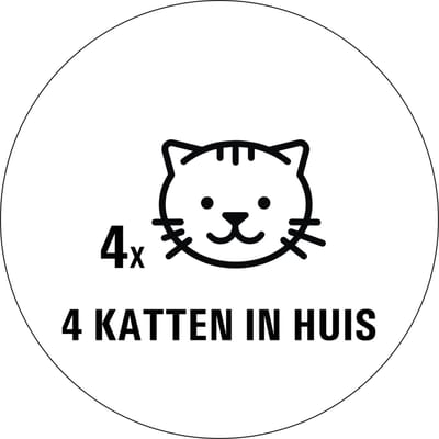 Katten in huis sticker - 80 x 80 mm 4