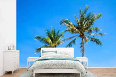 Behang - Fotobehang Palm - Zomer - Tropisch - Breedte 600 cm x hoogte 400 cm
