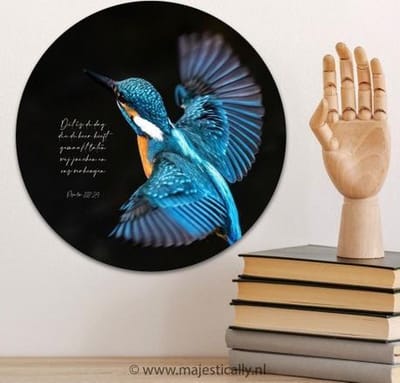 Muurdecoratie - Muurcirkel - Rond - IJsvogel - Dit is de dag - 30cm - Christelijk - Bijbel - Geloof - Majestically