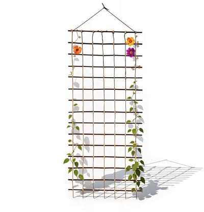 be4nature Klimrek Wilgenteen 150 x 50 cm – Natuurlijk vlechtwerk voor klimplanten, rozen en groente