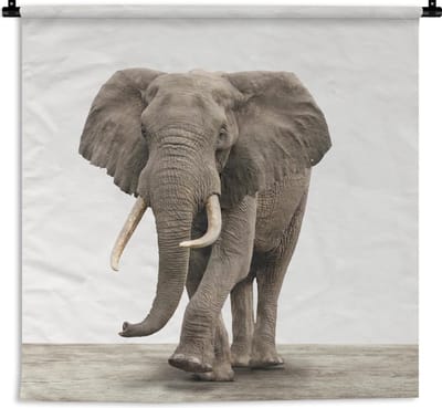 Wandkleed Animalprintshop - Olifant dierenprint kinderkamer Wandkleed katoen 180x180 cm - Wandtapijt met foto