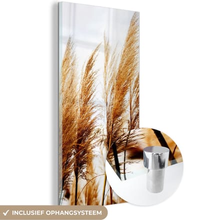 MuchoWow® Glasschilderij 20x40 cm - Schilderij acrylglas - Pampasgras - Zon - Gras - Foto op glas - Schilderijen