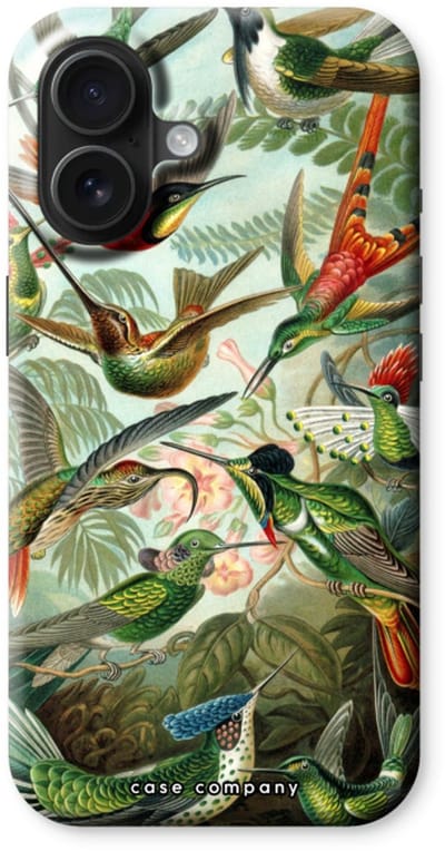 Case Company® - Hoesje geschikt voor iPhone 16 hoesje - Haeckel Trochilidae - Tough Case - Maximale Bescherming alle Kanten en Schermrand
