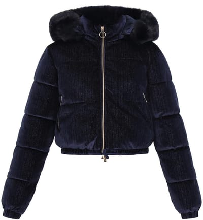 taddy jacket