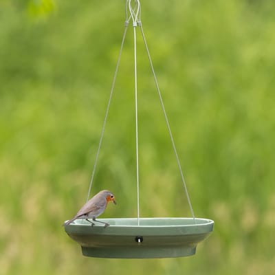 CJ Wildlife Vogeldrinkschaal voor Tuinvogels - Vesi - Hangende Waterschaal - Vogelbad voor Buiten - Keramische Drinkschaal - Hangend - Groen