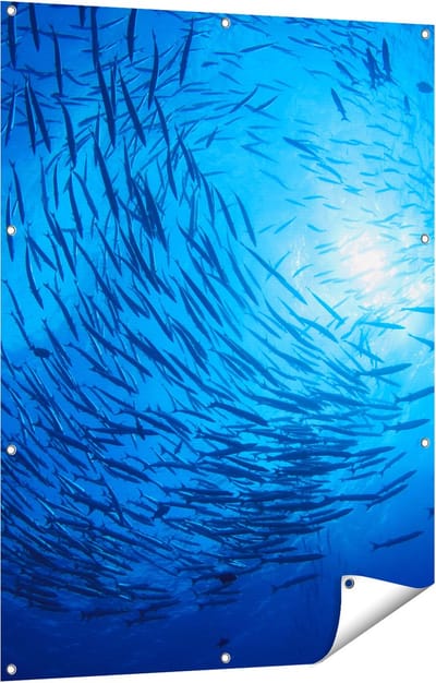 Gards Tuinposter Zwerm Vissen in de Oceaan - 90x120 cm - Tuindoek - Tuindecoratie - Wanddecoratie buiten - Tuinschilderij