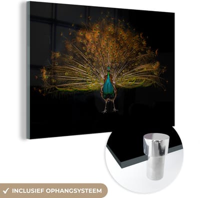 MuchoWow® Glasschilderij 60x40 cm - Schilderij acrylglas - Pauw - Veren - Nacht - Foto op glas - Schilderijen