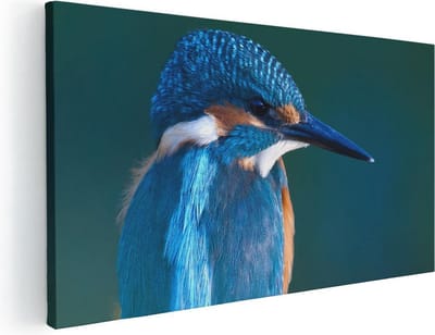 Artaza Canvas Schilderij IJsvogel - 40x20 cm - Klein - Wanddecoratie Vogels - Muurdecoratie Dieren - Schilderijen Op Canvas