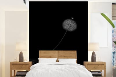 Behang - Fotobehang Bloemen - Paardenbloem - Zaden - Zwart - Wit - Breedte 165 cm x hoogte 220 cm