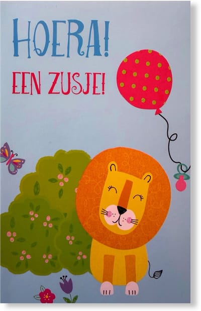 Geboortekaartje Zusje Wenskaart - Geboortekaart - 12 x 17 cm - gevouwen kaart Inclusief envelop