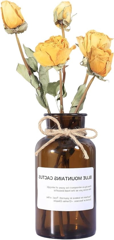 Ronte - Amber glazen vaas met touw ontwerp voor bloemenarrangementen thuis, kantoor en bruiloftdecoratie - 500 ml/17 oz