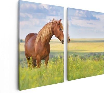 Artaza Canvas Schilderij Tweeluik Bruin Paard In De Wei - 80x60 - Foto Op Canvas - Canvas Print