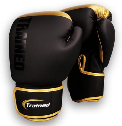 Bokshandschoenen 10 oz voor kickboksen en MMA training