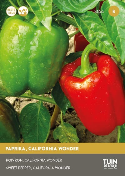 Paprika Yolo Wonder Zaden – Zoete Paprika – Hoge Opbrengst – Groentezaden Moestuin & Kas | Tuin de Bruijn