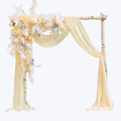 Dailygoods - EBETA Bruiloft Volant Dwarsbehang Vrijhanddecoratie voor Bruiloftsboog & Trouwboog Hemelbed Gordijnen voor Raamdecoratie van Chiffon-Stof (Champagne, 145x600 cm)