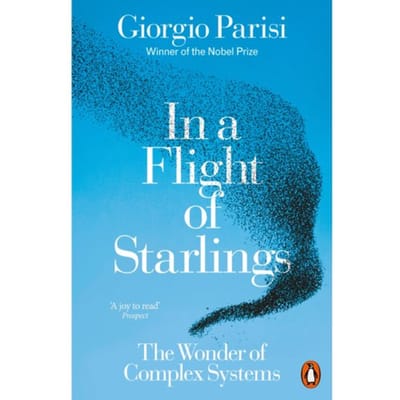 In A Flight Of Starlings - Giorgio Parisi
