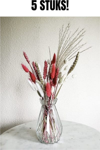 5 vaasjes met droogbloemen - Cadeau - Droogbloemen – Boeket Anne incl. vaas - Droogboeket - Cadeauset - Interieur - Wonen