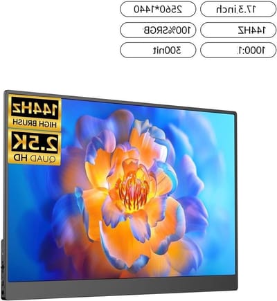 Extern Beeldscherm - Draagbare Monitor - Productief Werken - 144 Hz 25K IPS - 173 inch - Zwart