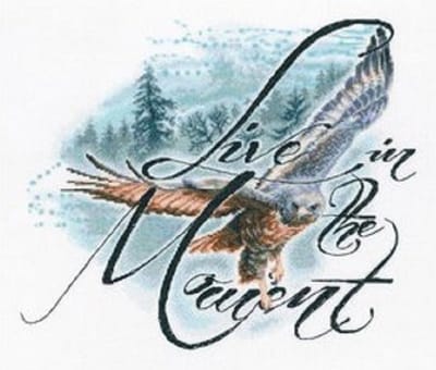 compleet borduurpakket vogel - live in the moment - rto