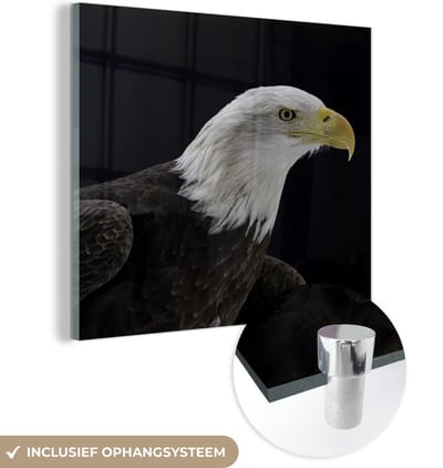 MuchoWow® Glasschilderij 50x50 cm - Schilderij acrylglas - Adelaar - Vogel - Snavel - Zwart - Foto op glas - Schilderijen