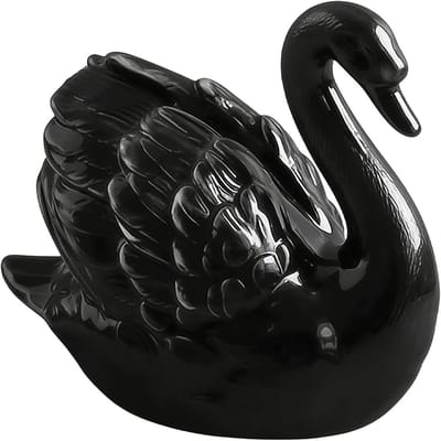 Toiletpot Afdekking - WC Deksel - Badkamer Decoratie - Keramisch Zwaanontwerp - 10 x 5.5 cm - Wit