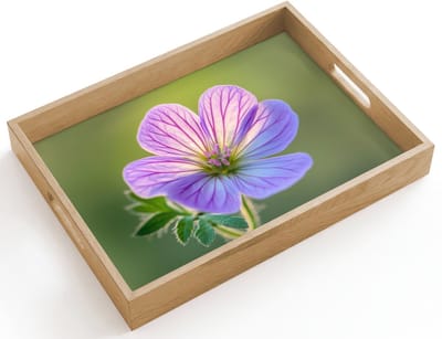 Dienblad hout 40x30 cm - Schootdienblad - Bloem - Close up - Paars - Borrelplank rechthoek - Plateau dienbladen
