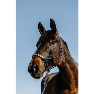 Halster en touwset voor paarden Norton Deco