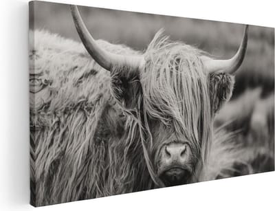 Artaza Canvas Schilderij Schotse Hooglander - 40x20 cm - Klein - Wanddecoratie Zwart Wit - Muurdecoratie Woonkamer - Schilderijen Op Canvas Dieren