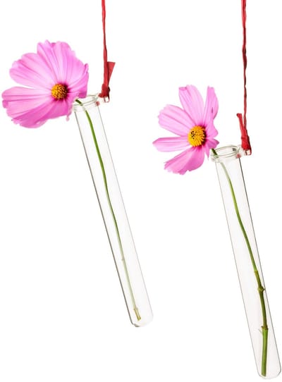 Reageerbuishouder voor bloemen, met reageerbuis, bloemenvaas om op te hangen, transparant