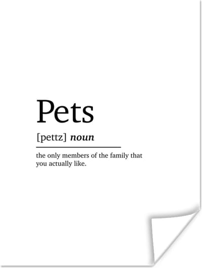 Poster Huisdieren definitie - Quotes - Spreuken - Pets - Woordenboek - 120x160 cm XXL