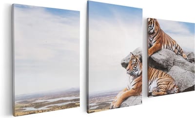 Artaza Canvas Schilderij Drieluik Twee Tijgers Op Rotsen Met Het Blauwe Lucht - 120x60 - Foto Op Canvas - Canvas Print