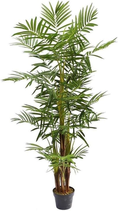Kunstpalm - Decoratieve palm - Woonruimte aankleden - Natuurgetrouwe bladeren - 160 cm hoog - Groen