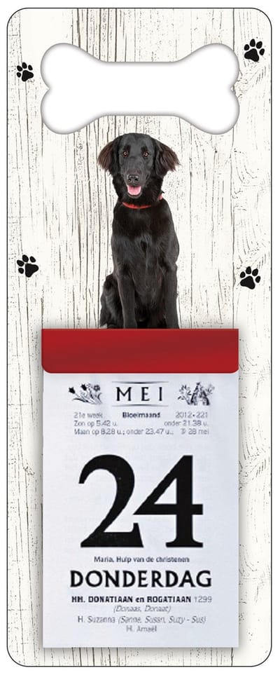 Scheurkalender 2027 Hond: Flatceuted Retriever