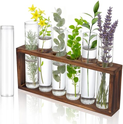 Dailygoods - 7 stuks doorzichtige reageerbuisjes, 30 x 150 mm, glazen buisjes, reageerbuisjes, bloemenvaas, reageerbuisjes met standaard, hout voor bloemen, specerijen, keukendecoratie, vloeistoffen om zelf te
