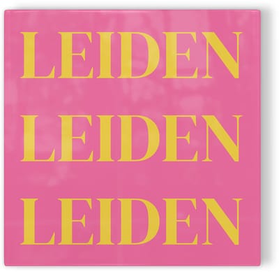 Tegeltje Leiden - roze geel - tegeltje stad - tegeltje met tekst