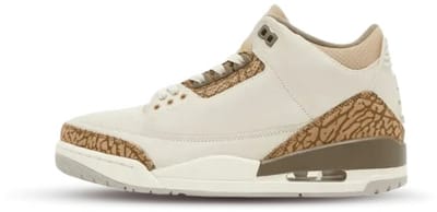 Air Jordan 3 Retro 'Palomino' (GS) - Maat 39