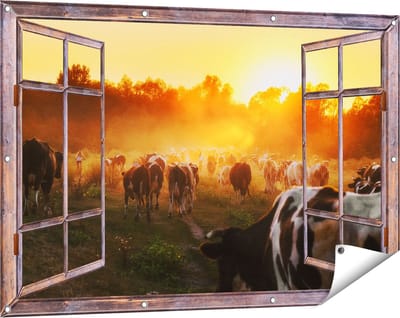 Gards Tuinposter Doorkijk Kudde Koeien in Weiland bij Zonsondergang - 120x80 cm - Tuindoek - Tuindecoratie - Wanddecoratie buiten - Tuinschilderij