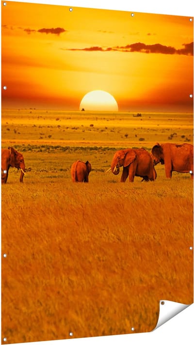 Gards Tuinposter Olifanten in het Wild - Zonsondergang - 120x180 cm - Tuindoek - Tuindecoratie - Wanddecoratie buiten - Tuinschilderij