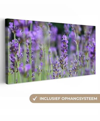 Canvas schilderij 40x20 cm - Wanddecoratie Lavendel - Bloemen - Natuur - Paars - Muurdecoratie woonkamer - Slaapkamer decoratie - Kamer accessoires - Schilderijen op canvas