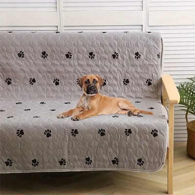 Huisdiermatten voor katten en honden - Eén stuk Wasbare en herbruikbare zachte hondenmat - Absorberende Training Pads voor Hondenbed - Absorberende en antislip geboortemat voor huisdieren（ Grijs 70*100cm ）