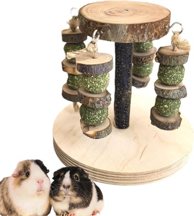 Hamster Speelgoed - Houten Accessoires - Tanden Knagen - Natuurlijk Knaagmateriaal - 14x13cm - Natuurlijk