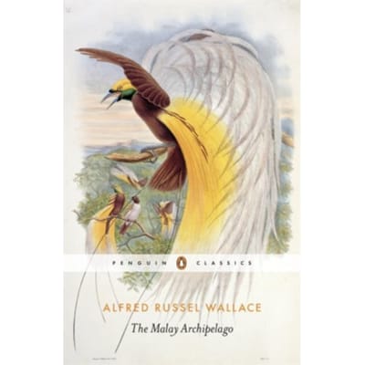 Het Maleisische Archipel door Alfred Russel Wallace Paperback Boek 9780141394404