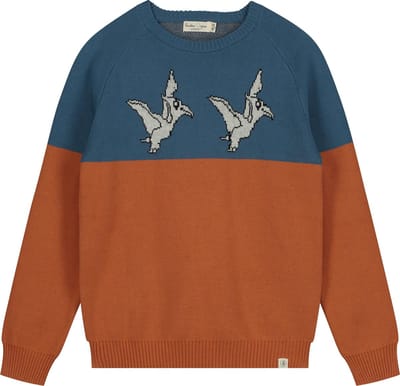 Smitten Organic - Jaquard Flying Dinos Jumper