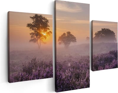Artaza Canvas Schilderij Drieluik Weide in de Veluwe bij Zonsondergang - 90x60 - Foto Op Canvas - Canvas Print